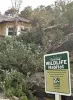 Sustainable Landscaping