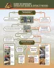gsob factsheet img