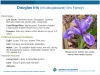 plant slide thumbnail