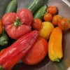 Vegetable Gardening Basics
