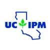 IPM (color)