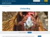 IWP Sample BLOG Ui / Style