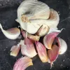 Garlic-Keeper-MG-Kathy-Kaplan