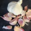 Garlic-Aglio-Rosso-MG-Kathy-Kaplan