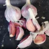 Garlic-Ajo-Rojo-MG-Kathy-Kaplan