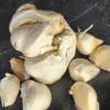 Garlic-Chets-Italian-Red-MG-Kathy-Kaplan
