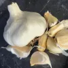 Garlic-Madrid-MG-Kathy-Kaplan