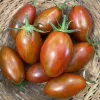 Tomato-Bronze-Torch-MG-Karen-Schaffer