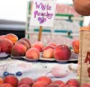 Food safety