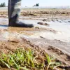 groundwater