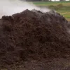 nitrogen management