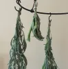 room drying sage bundles