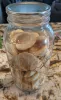 Apricots in jar freeze dried 2 - Tim Long.jpg