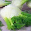 White bulb with ferny green stalks