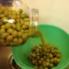 Lye Curing Olives.jpg (844 KB)