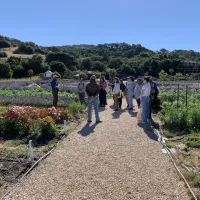 Lavender farm
