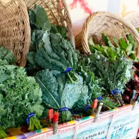 farmers-market